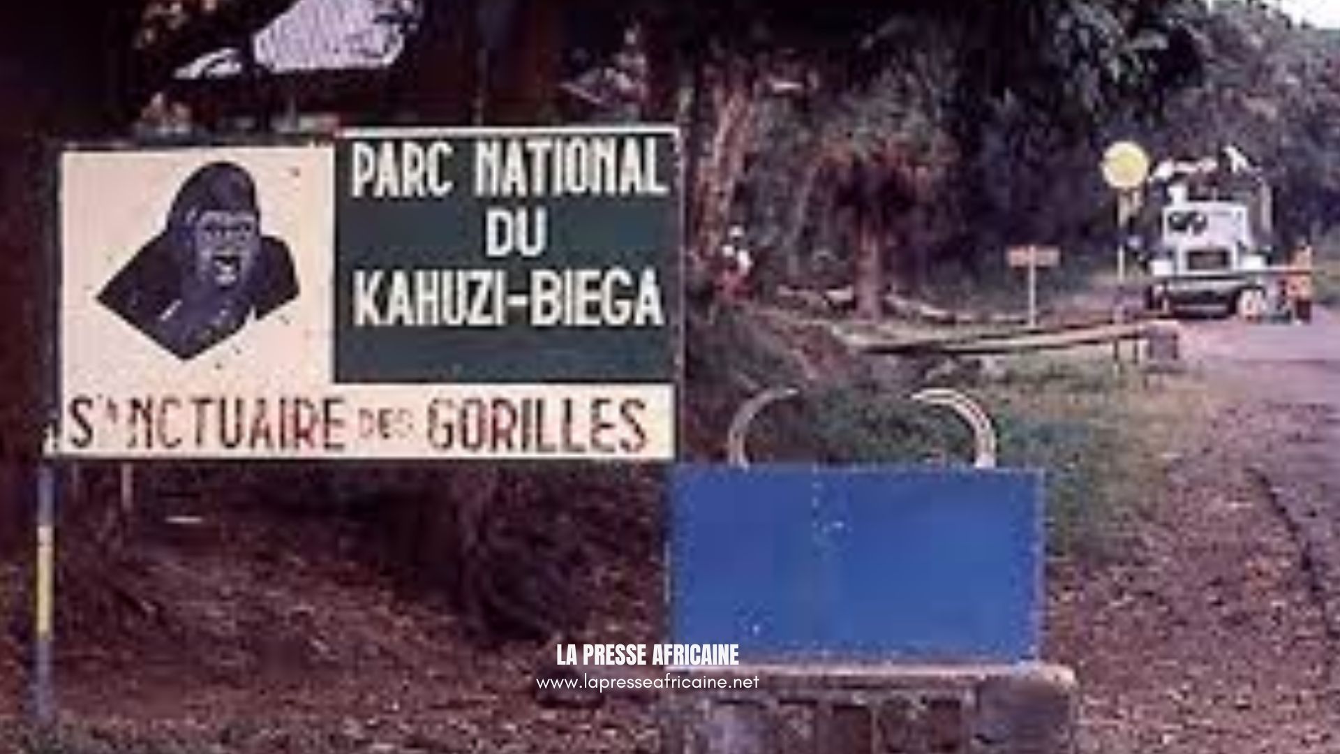 Sud-Kivu : des morts et plus de 25 personnes grièvement blessées dans un accident de circulation au PNKB