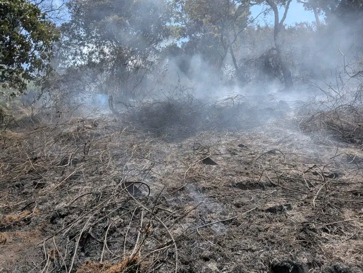Feu de brousse à Nyabibwe : l'asbl CEM-GL interpelle la population sur la protection de l'environnement 