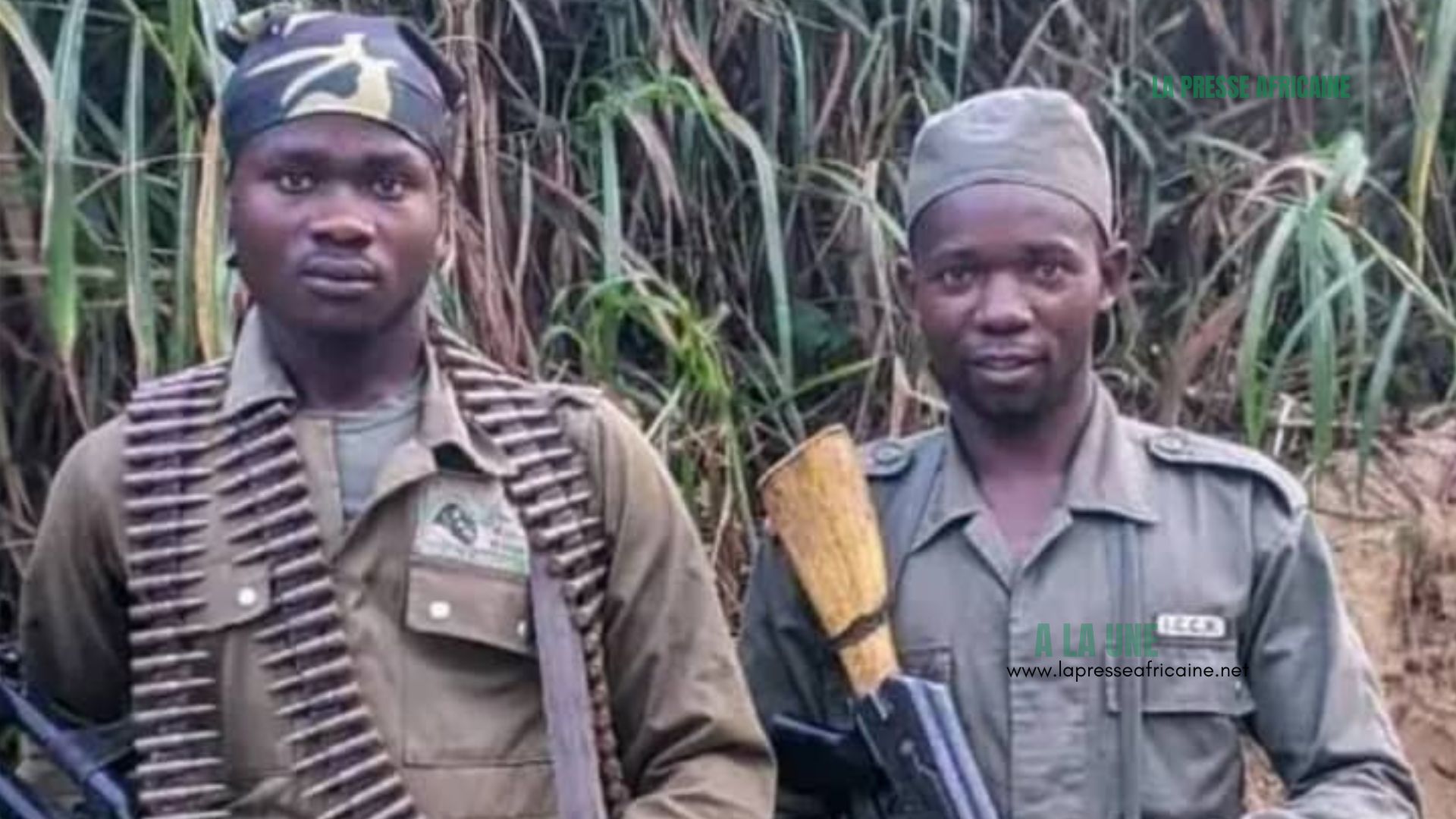 Sud-Kivu : un éco garde tué dans une attaque au PNKB à Lulimbe