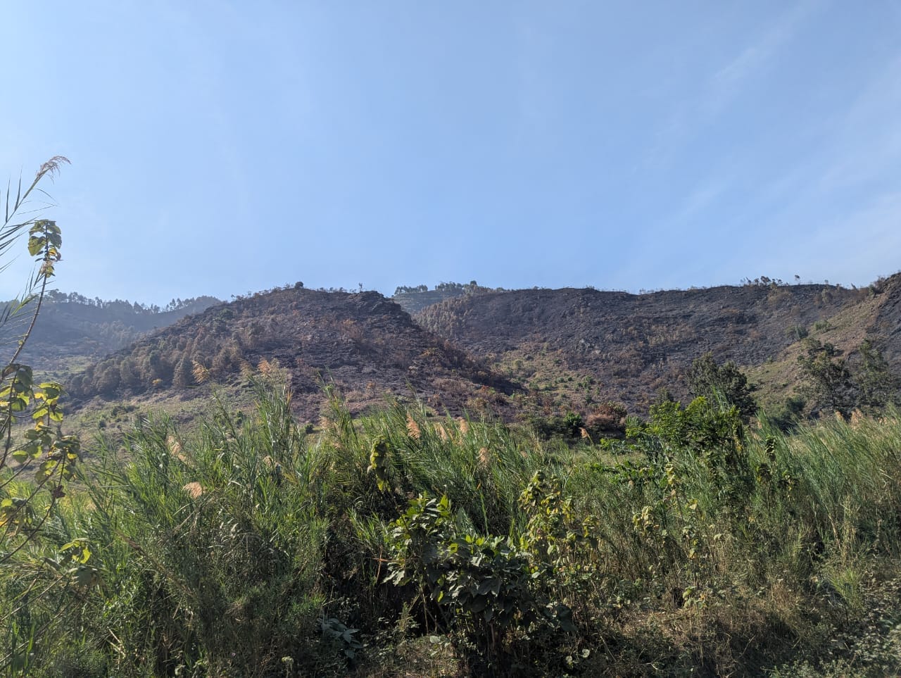 A la une: le feu de brousse ravage près de 60 hectares de champs, l'environnement et biodiversité en dégradation à Idjwi 